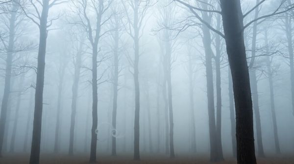 5 façons dont la densité du brouillard protège votre sécurité